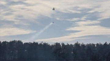 &Ccedil;anakkale'de &ccedil;ıkan orman yangınında soğutma &ccedil;alışmaları devam ediyor