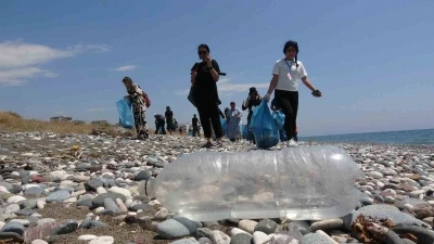 Caretta carettaların yuvalama alanları temizlendi
