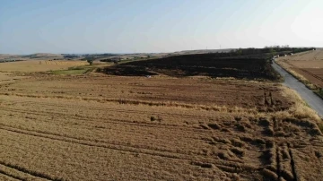 &Ccedil;atalca&rsquo;da 200 d&ouml;n&uuml;ml&uuml;k buğday tarlası alev alev yandı
