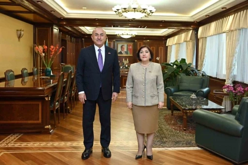 &Ccedil;avuşoğlu, Azerbaycan Milli Meclis Başkanı Gafarova ile g&ouml;r&uuml;şt&uuml;
