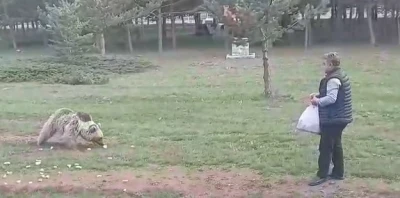 &Ccedil;emşit ismini verdiği bozayıyı besledi, eşi kayıt altına aldı
