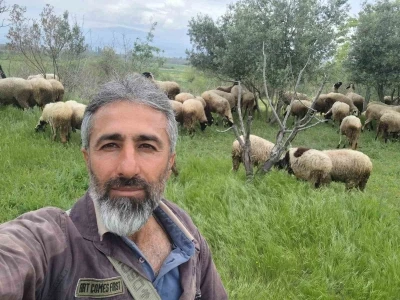 &Ccedil;eşme sakızı ile Fransız ko&ccedil;unu birleştirdi, verimi katladı