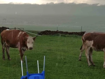Ceviz b&uuml;y&uuml;kl&uuml;ğ&uuml;nde dolu yağdı, k&ouml;y beyaza b&uuml;r&uuml;nd&uuml;
