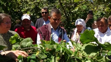 CHP Lideri &Ouml;zel&rsquo;den &rsquo;fındık fiyatı&rsquo; eleştirisi: &ldquo;Hızla revize edilmeli"
