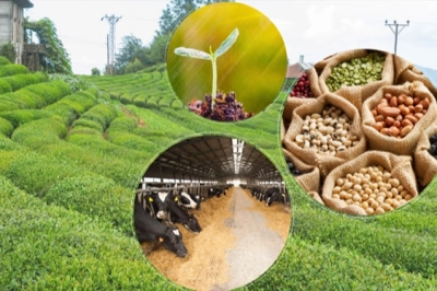 &Ccedil;ift&ccedil;ilere tarımsal destekleme  &ouml;demeleri yapılıyor