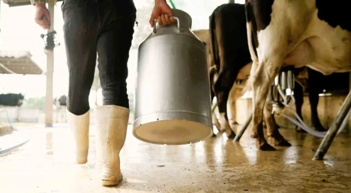 &Ccedil;iğ s&uuml;tte &uuml;reticinin eline 16 lira 40 kuruş ge&ccedil;ecek