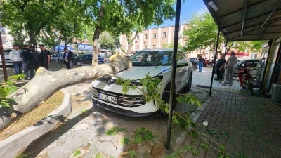 &Ccedil;ınar ağacının kopan dalı l&uuml;ks ara&ccedil;ta hasara yol a&ccedil;tı
