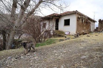 Cinlerin sardığı s&ouml;ylentisi sonrası terk edilen k&ouml;yde sabahlamak istedi..