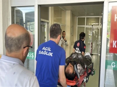 &Ccedil;obana ayı saldırısı 