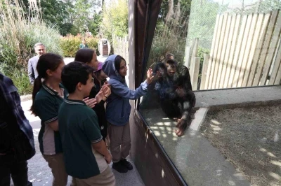 &Ccedil;ocuklar hayvanat bah&ccedil;esini gezdi
