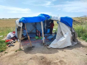 &Ccedil;ocuklarının bakmadığı yaşlı kadını &ccedil;adırda da barındırmıyorlar