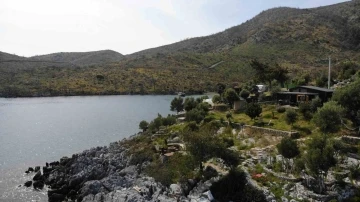 &Ccedil;&ouml;kertme Koyu k&uuml;llerinden yeşeriyor
