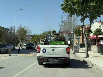 &Ccedil;orum Belediyesi ekipleri vekt&ouml;rel m&uuml;cadele i&ccedil;in gece-g&uuml;nd&uuml;z sahada
