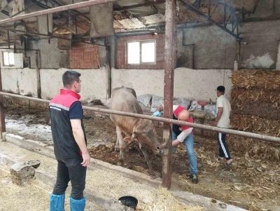&Ccedil;orum&rsquo;da hayvan pazarları kapatıldı
