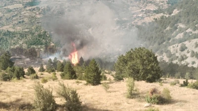 &Ccedil;orum&rsquo;da orman yangını kontrol altına alındı