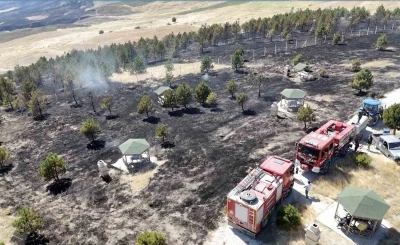 &Ccedil;orum&rsquo;da &ouml;rt&uuml; yangını ormana sı&ccedil;radı, 800 d&ouml;n&uuml;m alan yandı