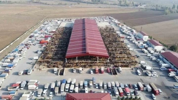 &Ccedil;orum hayvan pazarında bayram mesaisi başladı
