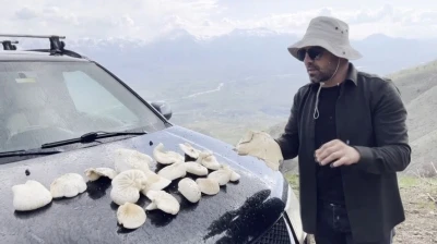 Dağlarda kendiliğinden yetişiyor, kilosu bin 250 TL&rsquo;den satılıyor
