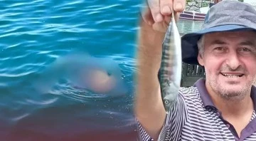 Dalgı&ccedil; kıyafetli bulunan ceset AK Parti eski il&ccedil;e başkanının oğlu &ccedil;ıktı