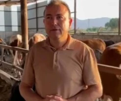 Dananın saldırısına uğrayan iş insanı, 3 g&uuml;n sonra &ouml;ld&uuml;