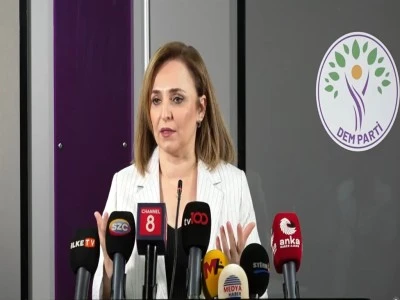 DEM Parti&rsquo;li Doğan: Niye bu komisyonun hala bir yol haritası yok