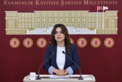 DEM Parti'li Ko&ccedil;yiğit: B&uuml;t&uuml;n partiler İmralı'ya gitmeli