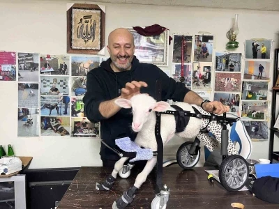 Demir ustası fel&ccedil;li canlara &rsquo;umut&rsquo; oluyor: 9 yılda bin hayvanı ayağa kaldırdı
