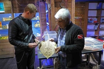 Deniz Biyoloji M&uuml;zesi&rsquo;ndeki balıklar yenilenecek
