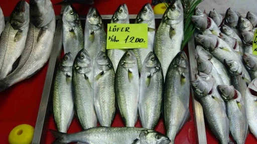 Denizlerin prensi &rsquo;l&uuml;fer&rsquo; 1200 liradan tezgahta