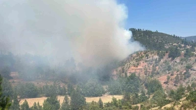 Denizli&rsquo;deki orman yangını kısmen kontrol altına alındı