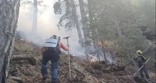 Denizli&rsquo;deki orman yangınını s&ouml;nd&uuml;rmek i&ccedil;in vatandaşlar seferber oldu
