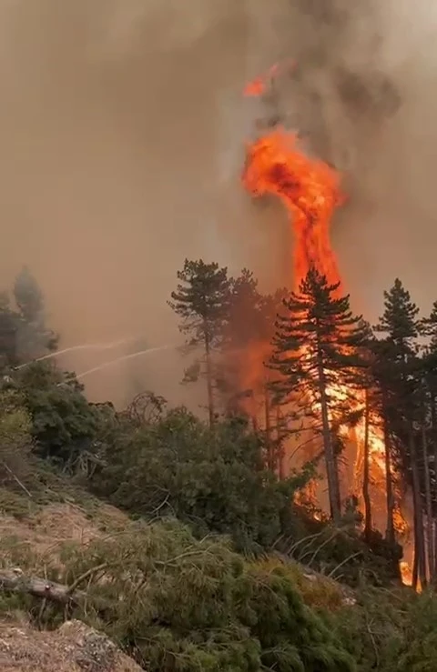 Denizli&rsquo;deki yangına 6. g&uuml;nde m&uuml;dahale s&uuml;r&uuml;yor
