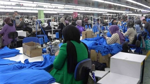 Deprem sonrası yaşanan istihdam ve &uuml;retim sorunları araştırılıyor
