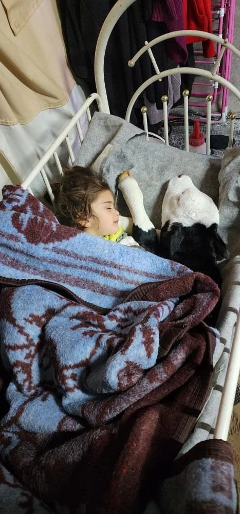 Depremzede aile buzağının hayatını &ccedil;adırda kurtarıyor
