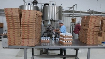 Depremzede &uuml;reticilerden toplanan s&uuml;tle yapılan yoğurt ve ayran afetzedelere dağıtılıyor