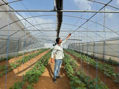 Derecik&rsquo;te şiddetli fırtına: Seralarda maddi hasar oluştu
