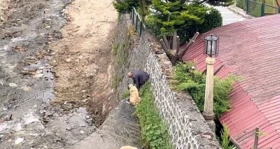 Derede mahsur kalan Kangal k&ouml;peklerini sahibi suya atlayıp kurtardı
