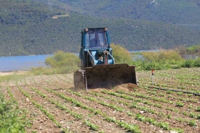 Devlet &ccedil;ift&ccedil;iye "ekin" diyor, DSİ ekili alanları d&uuml;zl&uuml;yor
