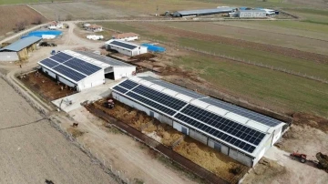 Devlet desteğiyle kurduğu b&uuml;y&uuml;kbaş hayvan &ccedil;iftliğinin elektrik giderlerini GES ile karşılıyor
