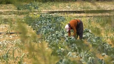 Bursa g&uuml;ndeminde yankı uyandıran tarım arazileri hakkında a&ccedil;ıklama