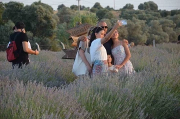 Didim&rsquo;de 3. Lavanta festivali yoğunluğu
