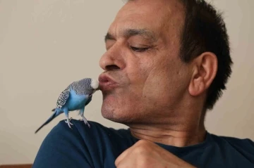 Dinleyen kulaklarına inanamıyor: Muhabbet kuşundan &rsquo;&rsquo;Sayın Cumhurbaşkanı Recep Tayyip Erdoğan&rsquo;&rsquo; tiradı
