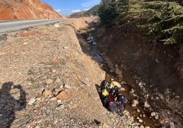 Direksiyon hakimiyetini kaybedince dere yatağına u&ccedil;tu, 1 yaralı
