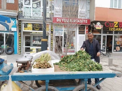 Diyadin&rsquo;de baharın m&uuml;jdecisi ışkın ve &ccedil;iriş tezgahları s&uuml;sl&uuml;yor
