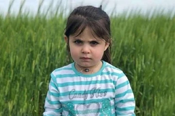 Diyarbakır&rsquo;da kaybolan Narin olayı akıllara minik Leyla&rsquo;yı getirdi