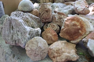 Diyarbakır&rsquo;da okul m&uuml;d&uuml;r&uuml;nden a&ccedil;ık hava m&uuml;zesi: 350 milyon yıllık denizyıldızı fosillerini sergiliyor
