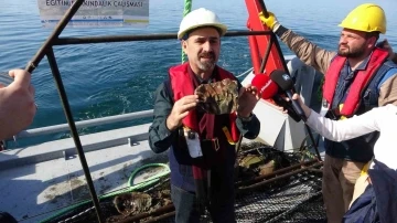 Do&ccedil;. Dr. Coşkun Er&uuml;z: "Denizlerimiz hızla kirleniyor"
