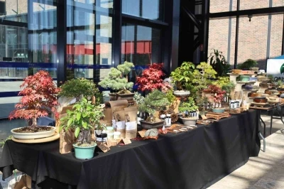 Doğa ve sanat tutkunları bonsai sanatı ile tanıştı
