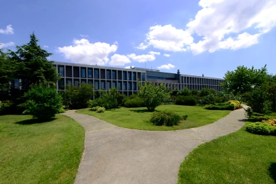 Doğan Holding O Şirketi Sattı