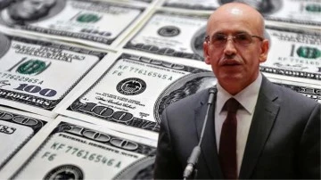 Doların artışına Bakan Şimşek'ten a&ccedil;ıklama: Endişelenmeyin